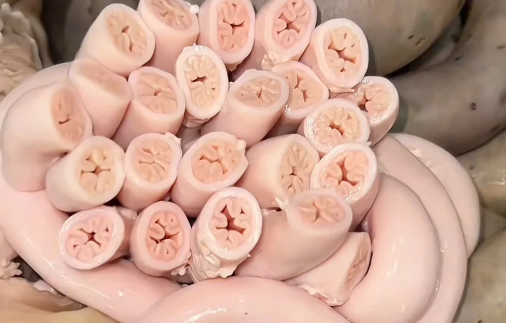 Lòng se điếu đông lạnh được rao bán giá rẻ, nhưng chất lượng lại là dấu hỏi lớn.