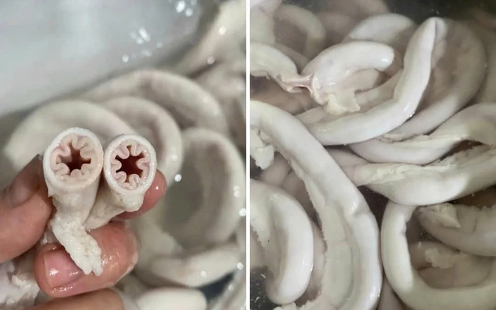 Lòng se điếu – đoạn ruột bị nhiễm giun được chế biến thành món ăn Lòng se điếu – đoạn ruột bị nhiễm giun được chế biến thành món ăn