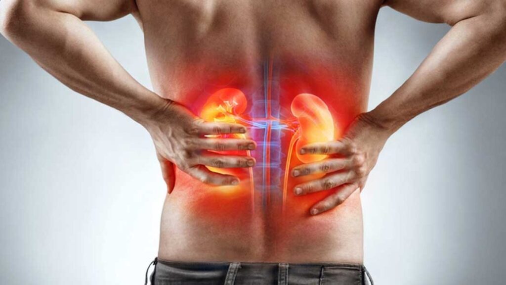 Giới trẻ bị suy thận do lối sống thiếu lành mạnh Giới trẻ bị suy thận do lối sống thiếu lành mạnh